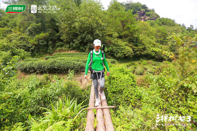 1597029218905357Wkme.jpg 5.jpg