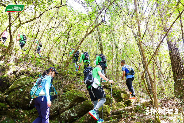 1597029221404281j7GP.jpg 6.jpg