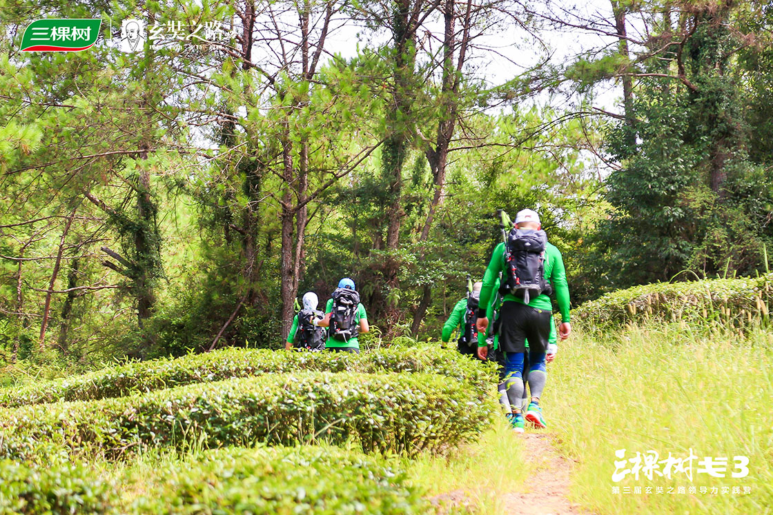 1597029249536600o88K.jpg 7.jpg